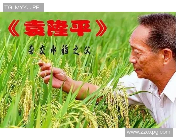 琼斯的传奇人生与事业探索：从平凡到卓越的奋斗历程与启示